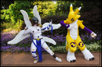 Angemon VS Renamon