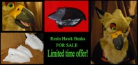 Resin Beaks for sale (LIMITED TIME)