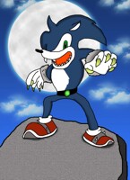 Were Sonic
