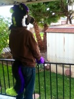 I have no idea what I'm doing