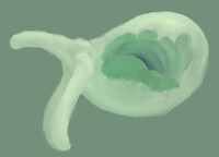 Cave Tree Fish Ness Monster