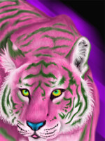 Tiger Card [Front]