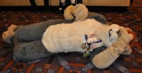 MFF '12 - Roadkill Squirrel