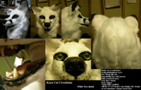 White fox mask turn-around