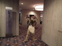 :O A weeniedog at MFF :3