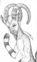 Ibex boy