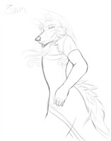 3 am coyote