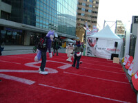 playing football