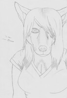 Wolfy Ash - Original pencil drawing