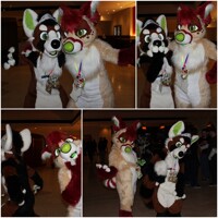 Bella and Havik!