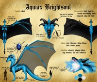 Aquiax Brightsoul - Ref Sheet