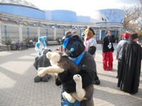 Nightwolf and her lil puppy :3   Boo at the Zoo 2012