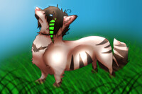 puppy