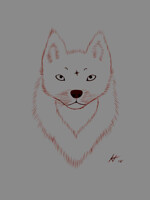 Wolf head sketch