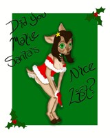Did You make Santa's Nice List? Christmas Doe