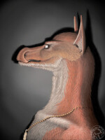 Shiriat portrait