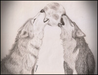 Let's howl to the moon