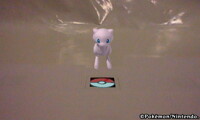 Mew front