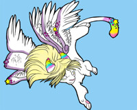 Winged Cat Design