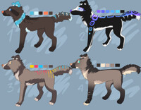 Canine Adoptables 9