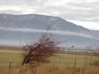 Foggy Mountains 2