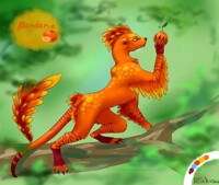 Singy mandarin