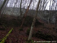 Some Trees And A Huge Rock