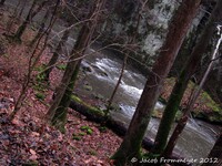 Some Rapids And Stuff