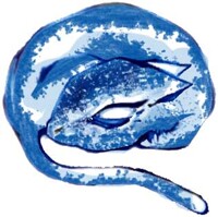 LittleBlue