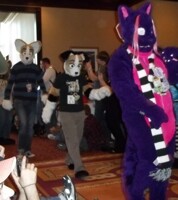 Lost Love, Toffee, and Perry Furry Fiesta 2012