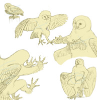 And suddenly a party hoot