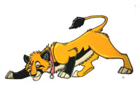 Stalky Thrasher Lioness