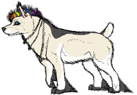 Been Wanting To Do This!