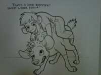 hyenas don't make the best pets