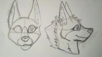 LC : head concept