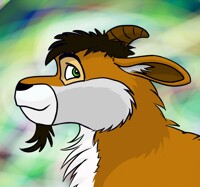 Cabro the goat