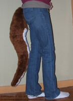 Red Kangaroo Tail