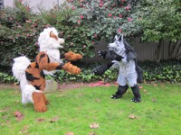 Play Time 