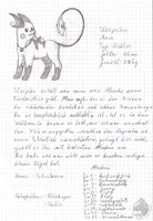 Sleepchu - description (german)