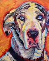 my great dane GUSTAV