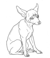 All-Seeing Ankle Biter