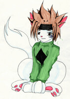 Darwin Kitty