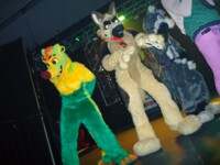 FC2013