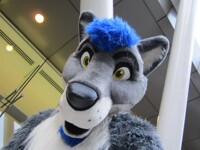 Hey Volf, why the long nose?