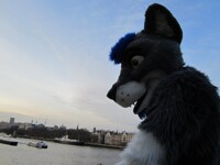 Looking out over London