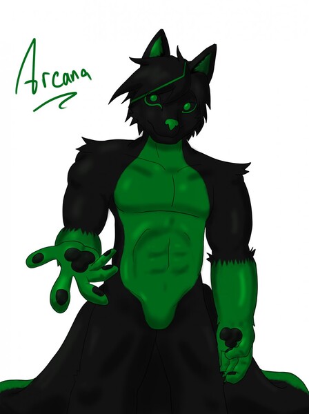 ArcanaFox Rule 63 Character Art by retro_j -- Fur Affinity [dot] net