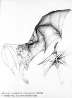 Romanian Three-Tail Study - Alar Elements