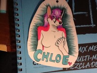 Badges Funding CTcon!