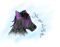 Nacht Wolf