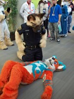 FC 2013 - (120)